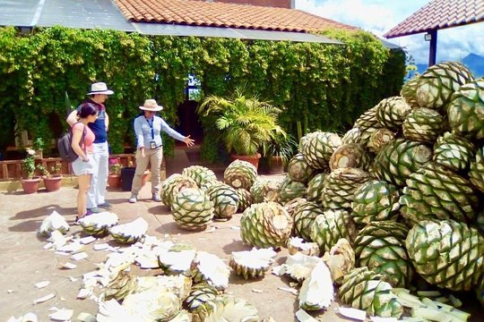 Tour image 6