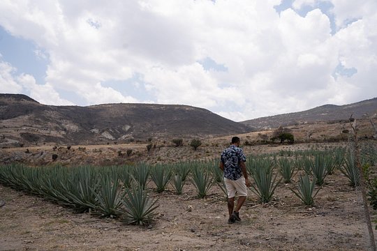 Tour image 6