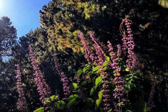 Tour image 7