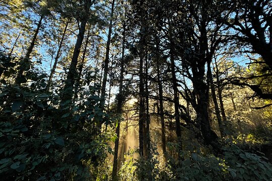 Tour image 5