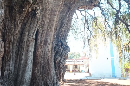 Tour image 10